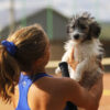 us open blue girls tennis dress by zoe alexander