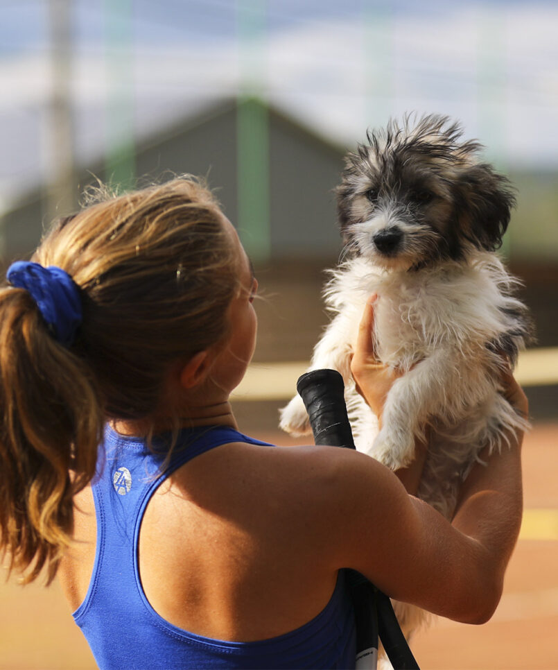 us open blue girls tennis dress by zoe alexander